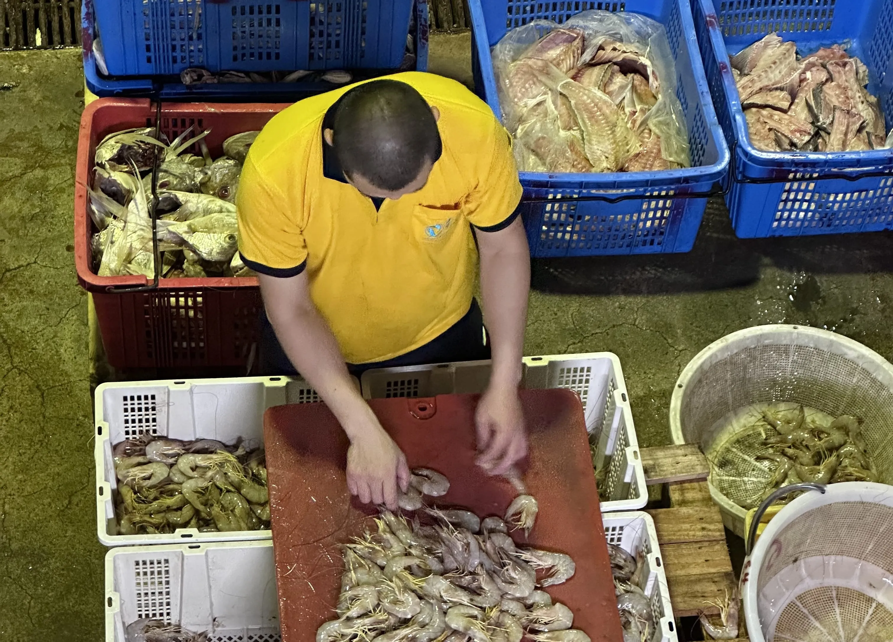 A fish vendor inspecting and processing prawns